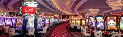 Pemain mengakses live casino mami138 dari ponsel Android